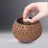 Buy Coconut Shell Tea Candle Holder Online | Sanctify ™