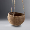 Coconut Shell Hanging Plant Pot